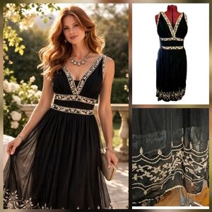 ❤️ECI New York Black Sheer Embroidered Dress w/ Slip Size 14 Crewel Detail